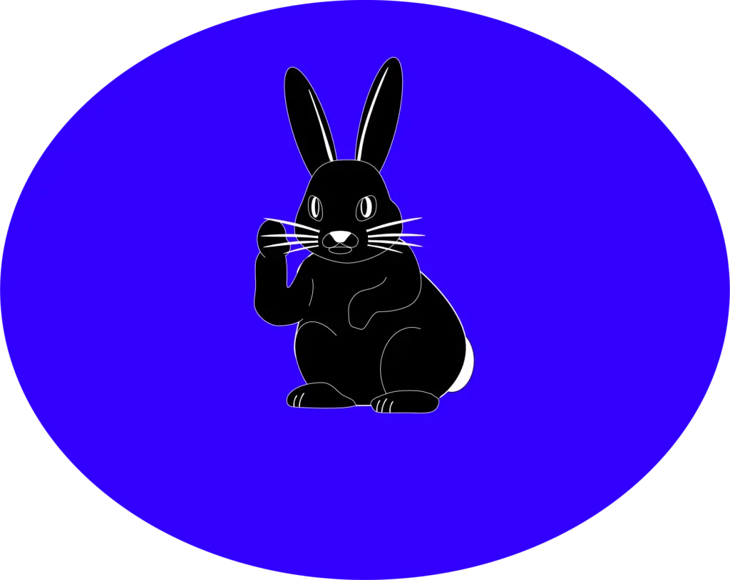 A black bunny - Nunona's mascot inside a circle waving hello at you.