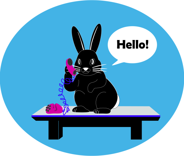 A picture of a black bunny calling with pink telephone and saying hello! in a speech bubble.